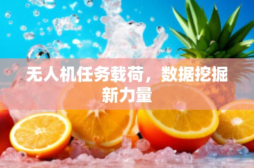 无人机任务载荷，数据挖掘新力量