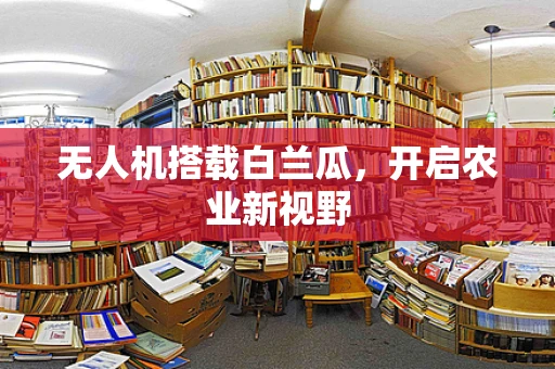 无人机搭载白兰瓜，开启农业新视野