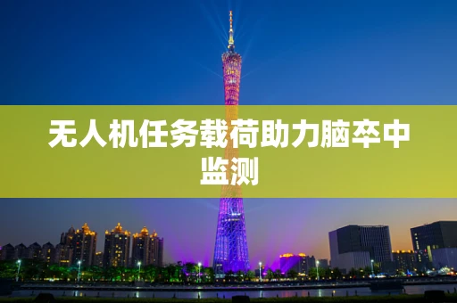 无人机任务载荷助力脑卒中监测