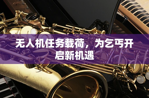 无人机任务载荷，为乞丐开启新机遇