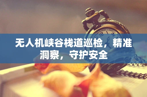 无人机峡谷栈道巡检，精准洞察，守护安全
