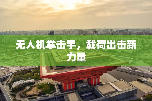 无人机拳击手，载荷出击新力量