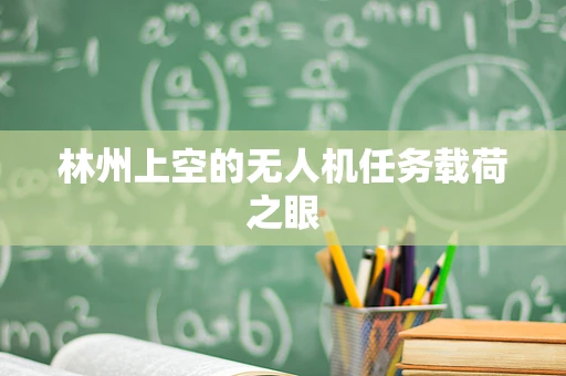 林州上空的无人机任务载荷之眼