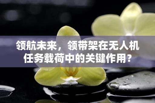 领航未来，领带架在无人机任务载荷中的关键作用？