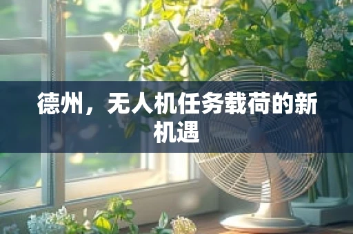 德州，无人机任务载荷的新机遇