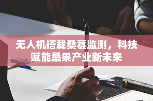 无人机搭载桑葚监测，科技赋能桑果产业新未来