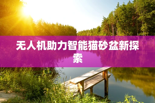 无人机助力智能猫砂盆新探索