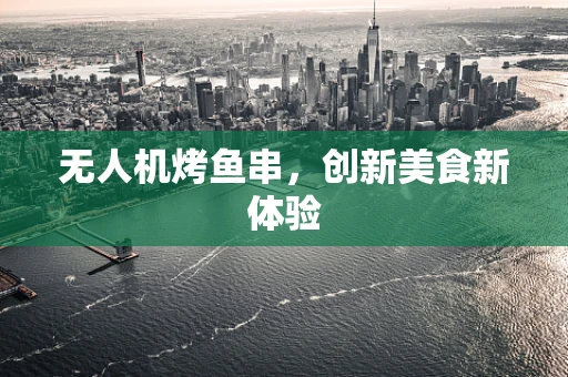 无人机烤鱼串，创新美食新体验