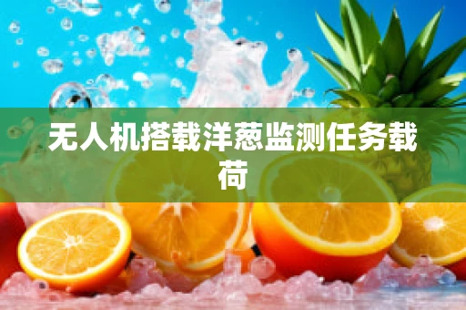 无人机搭载洋葱监测任务载荷