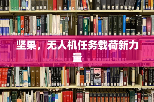 坚果，无人机任务载荷新力量