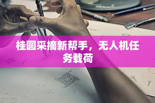 桂圆采摘新帮手，无人机任务载荷