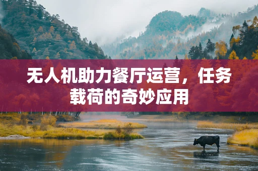 无人机助力餐厅运营，任务载荷的奇妙应用