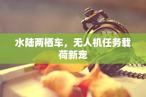 水陆两栖车，无人机任务载荷新宠