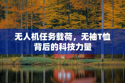 无人机任务载荷，无袖T恤背后的科技力量