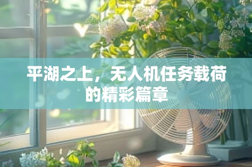 平湖之上，无人机任务载荷的精彩篇章