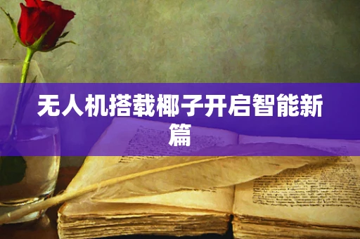 无人机搭载椰子开启智能新篇