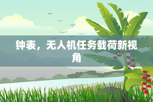 钟表，无人机任务载荷新视角
