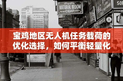 宝鸡地区无人机任务载荷的优化选择，如何平衡轻量化与高载荷能力？
