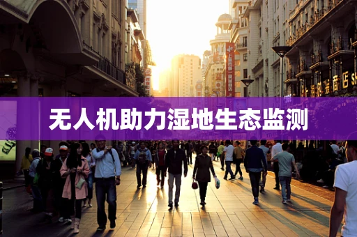 无人机助力湿地生态监测