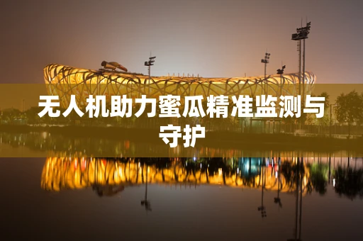 无人机助力蜜瓜精准监测与守护