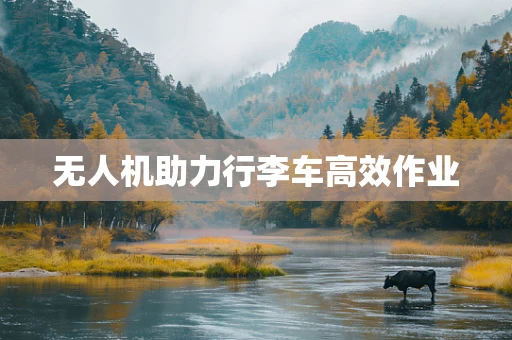 无人机助力行李车高效作业