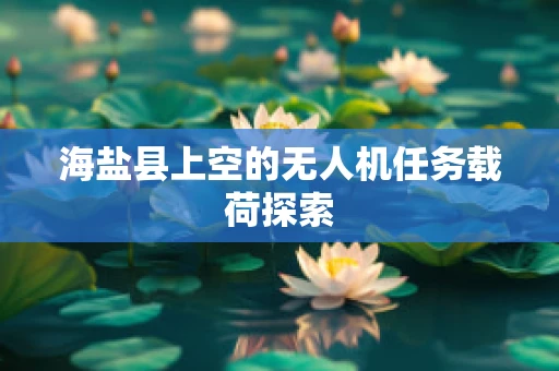 海盐县上空的无人机任务载荷探索