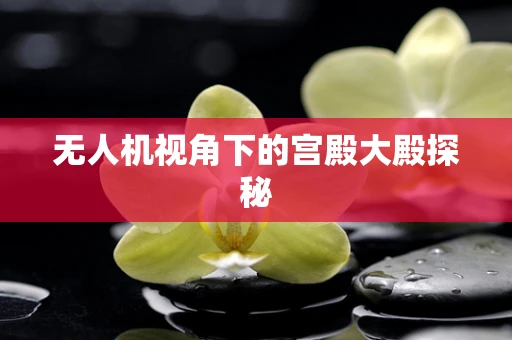 无人机视角下的宫殿大殿探秘