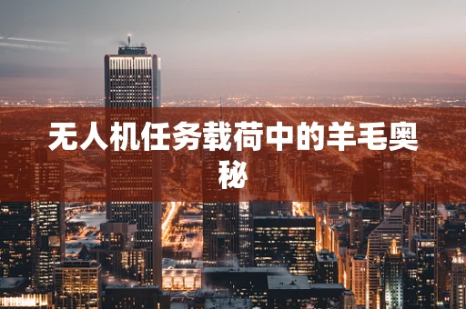 无人机任务载荷中的羊毛奥秘