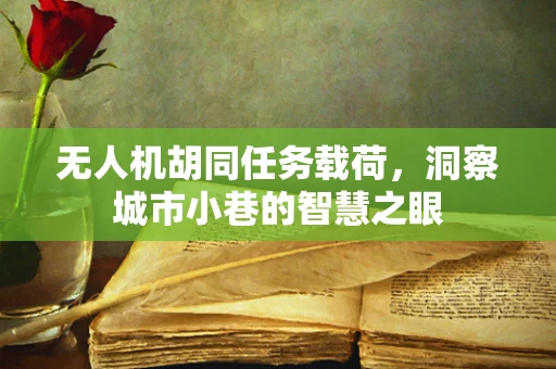 无人机胡同任务载荷，洞察城市小巷的智慧之眼