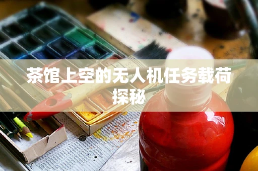 茶馆上空的无人机任务载荷探秘