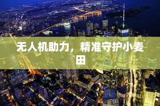 无人机助力，精准守护小麦田