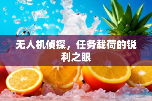 无人机侦探，任务载荷的锐利之眼
