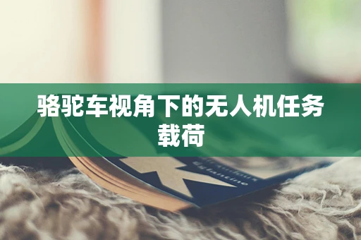 骆驼车视角下的无人机任务载荷
