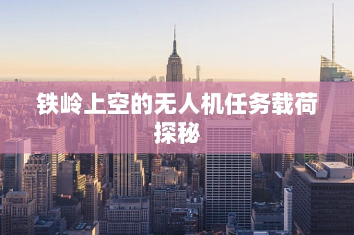 铁岭上空的无人机任务载荷探秘