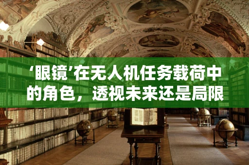 ‘眼镜’在无人机任务载荷中的角色，透视未来还是局限当前？