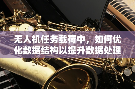 无人机任务载荷中，如何优化数据结构以提升数据处理效率？