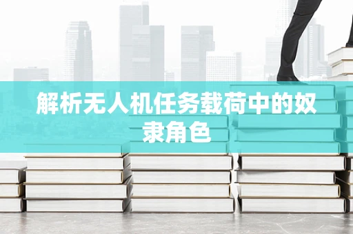 解析无人机任务载荷中的奴隶角色