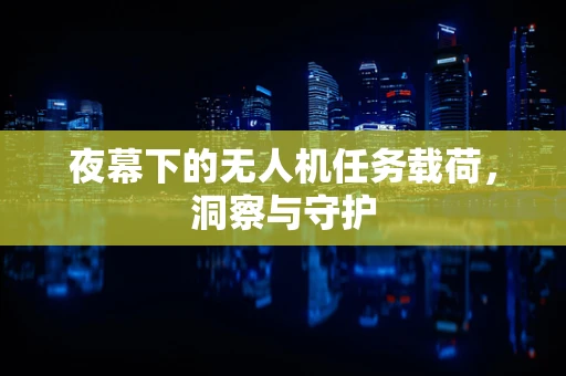 夜幕下的无人机任务载荷，洞察与守护