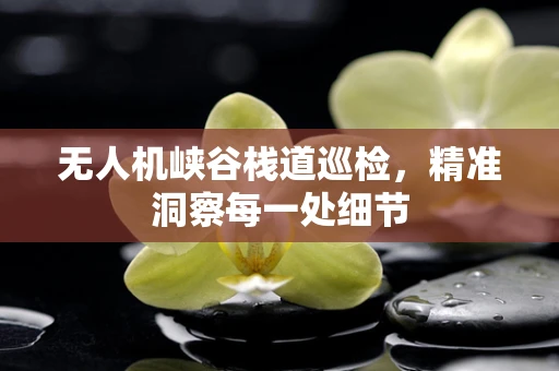 无人机峡谷栈道巡检，精准洞察每一处细节