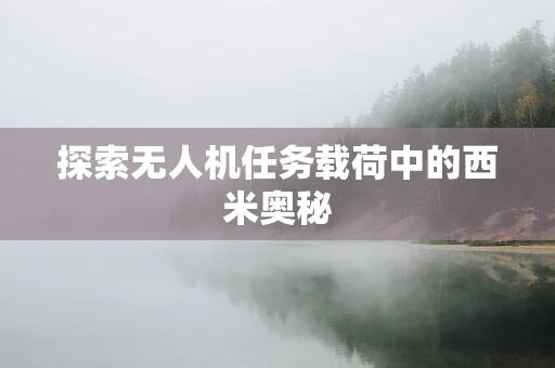 探索无人机任务载荷中的西米奥秘