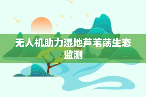 无人机助力湿地芦苇荡生态监测