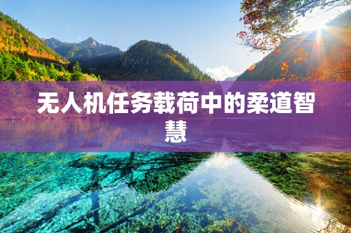 无人机任务载荷中的柔道智慧