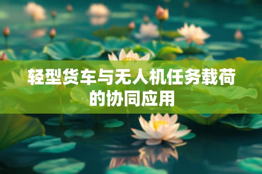 轻型货车与无人机任务载荷的协同应用