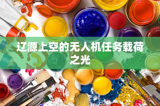 辽源上空的无人机任务载荷之光