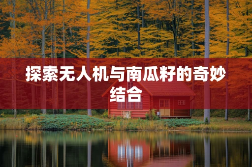 探索无人机与南瓜籽的奇妙结合
