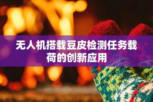 无人机搭载豆皮检测任务载荷的创新应用