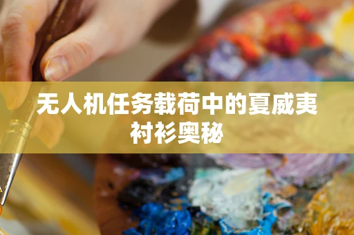 无人机任务载荷中的夏威夷衬衫奥秘