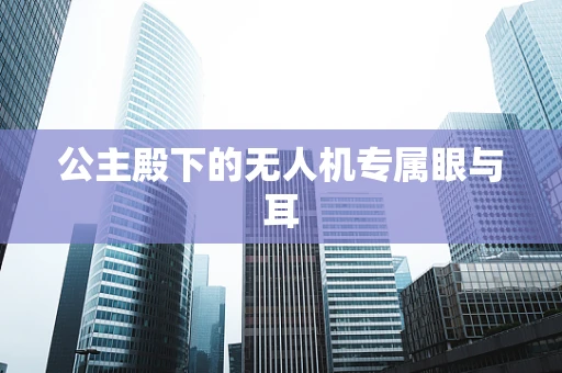 公主殿下的无人机专属眼与耳