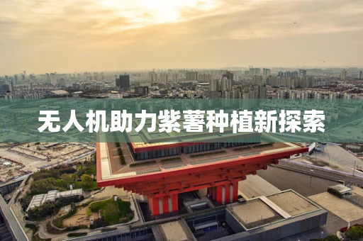 无人机助力紫薯种植新探索