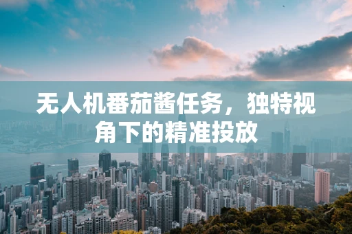 无人机番茄酱任务，独特视角下的精准投放